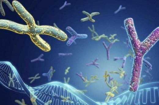 泰國有供卵試管嬰兒？常熟泰國試管嬰兒？-第1張-試管嬰兒問答-欣悅國際