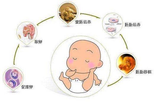 泰國(guó)試管嬰兒m？泰國(guó)做試管嬰兒么？-第2張-試管嬰兒?jiǎn)柎?欣悅國(guó)際