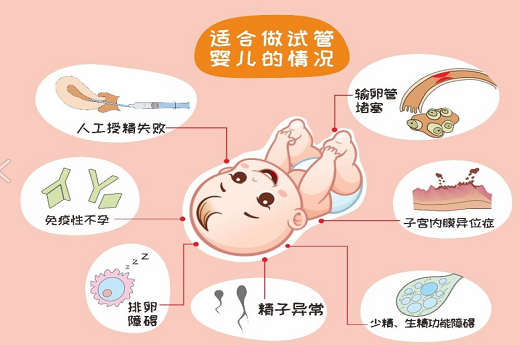 泰國試管嬰兒法律？泰國試管嬰兒法律？-第3張-試管嬰兒問答-欣悅國際