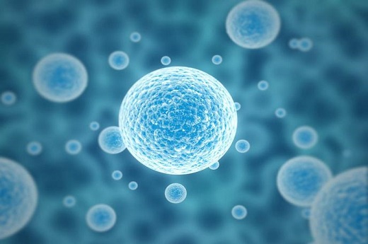 泰國試管嬰兒準備什么？泰國試管嬰兒移植成功？-第2張-試管嬰兒問答-欣悅國際
