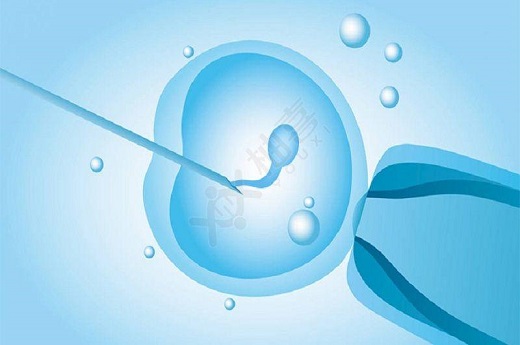 我國單身男性泰國試管嬰兒？我國單身男性泰國試管嬰兒？-第2張-試管嬰兒問答-欣悅國際