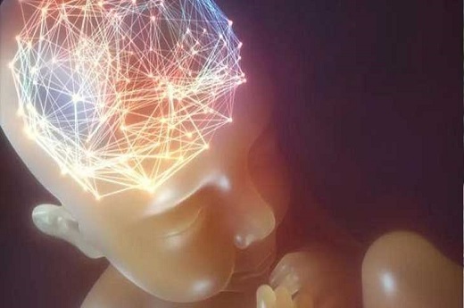 泰國試管嬰兒風險大嗎？備孕泰國試管嬰兒能成功嗎？-第3張-試管嬰兒問答-欣悅國際