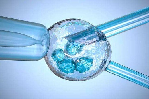 泰國三代試管嬰兒誤區率高嗎？生出的孩子質量會不會有缺陷-第3張-試管嬰兒問答-欣悅國際